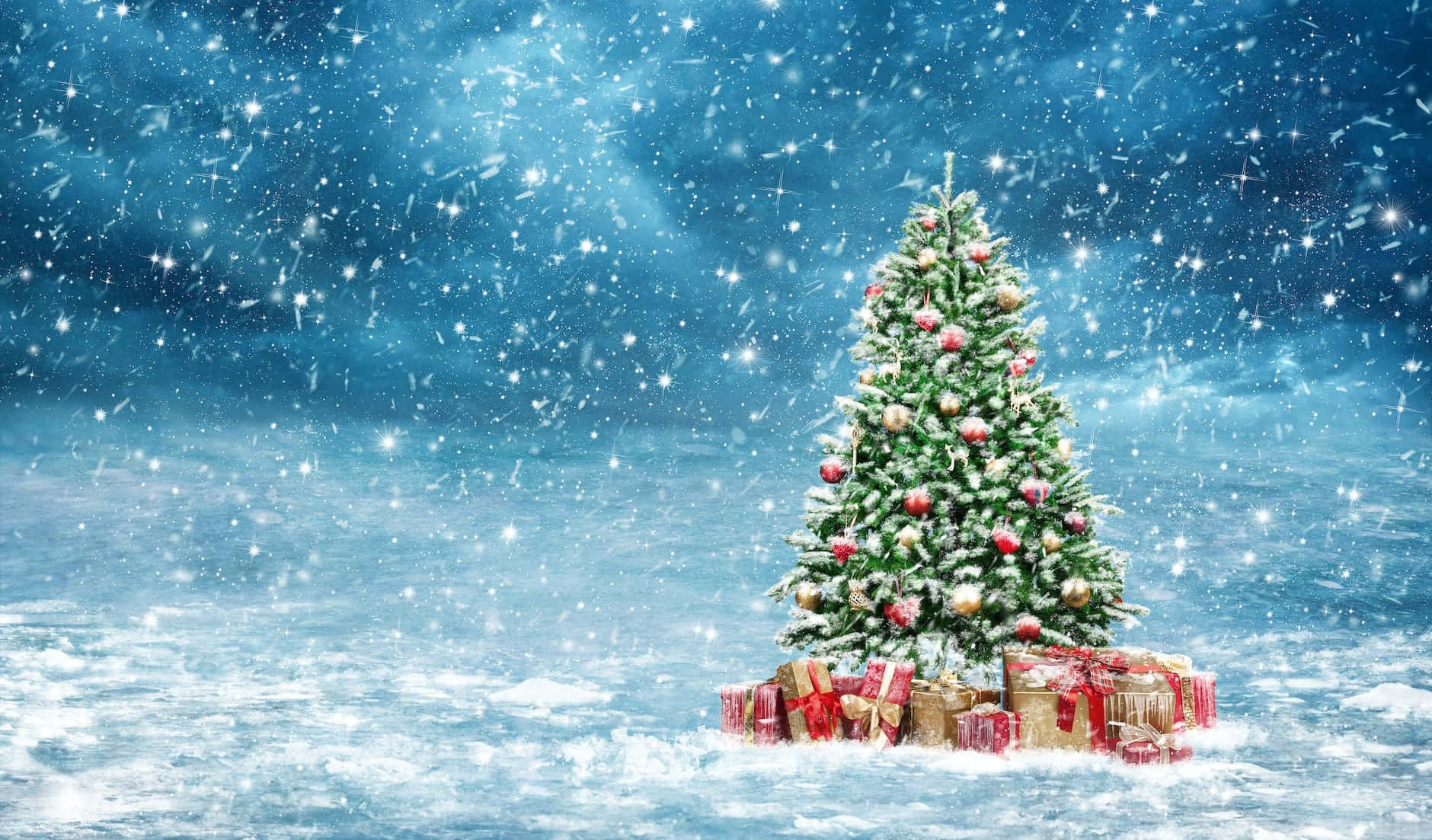 クリスマスツリーと雪の写真 壁紙