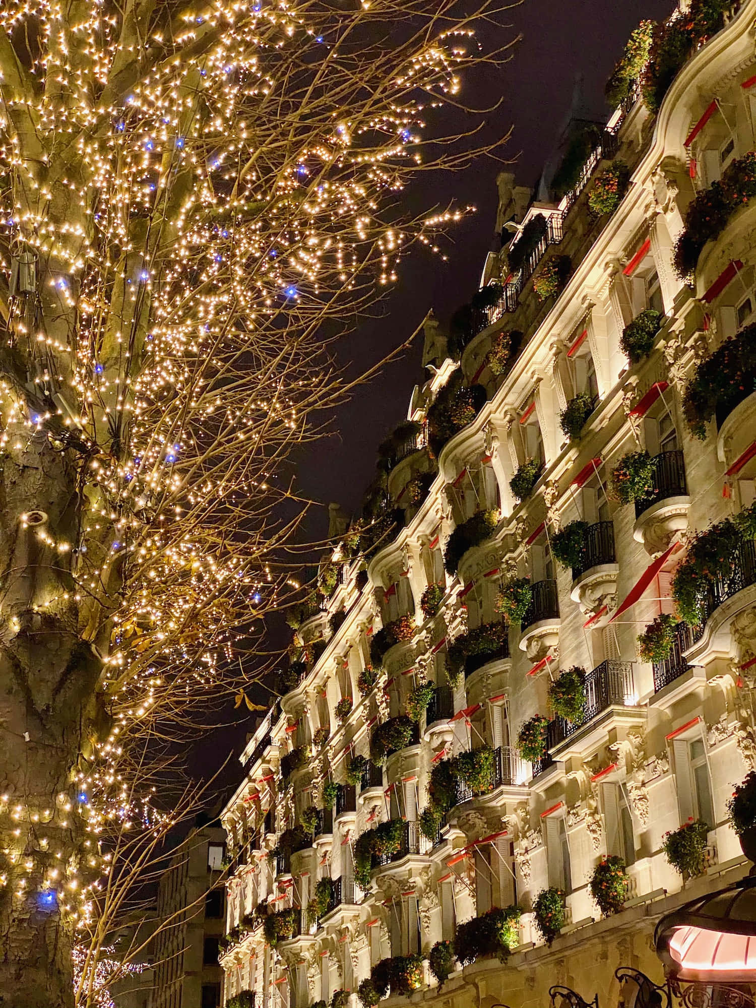 クリスマスライトとツリーのある通り 壁紙