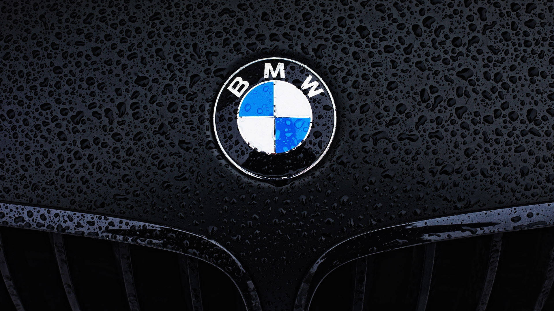 クローズアップ ロゴ BMW ラップトップ 壁紙