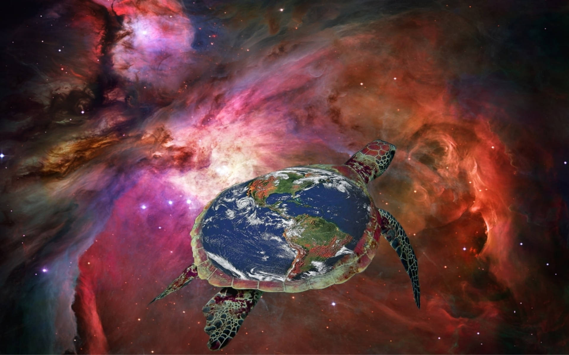 クールなカメが宇宙を漂う 壁紙