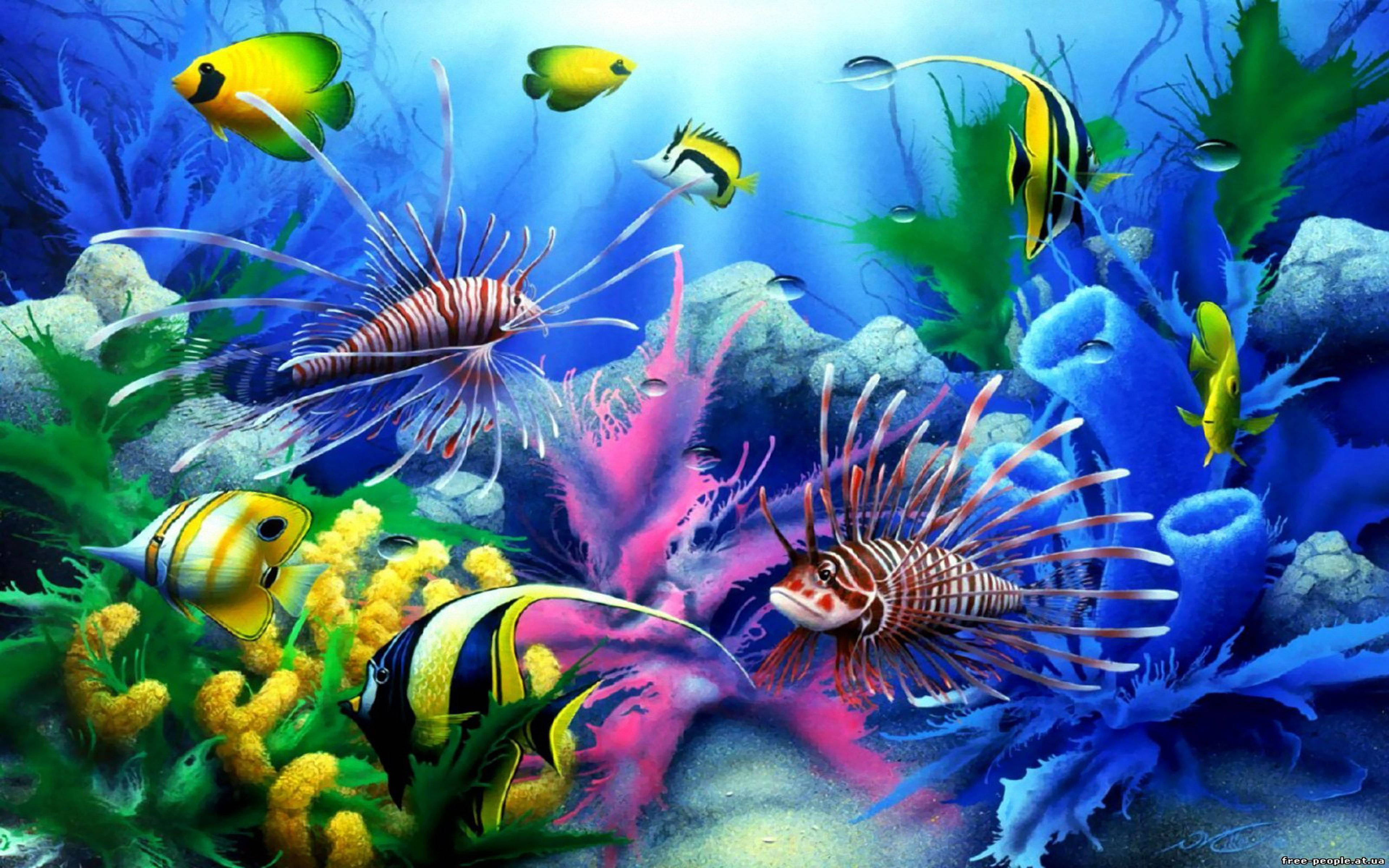クールな水槽の魚 壁紙