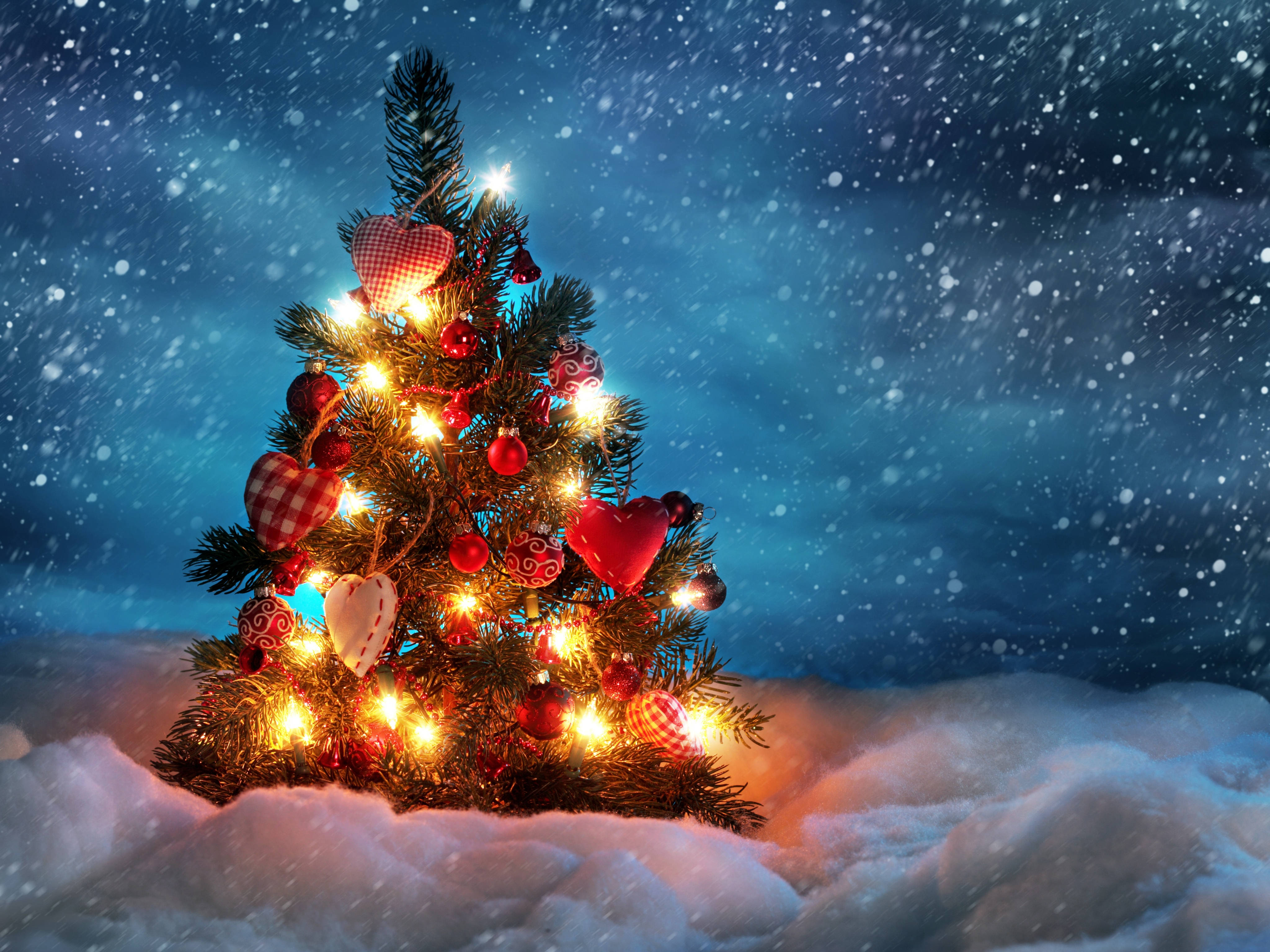 クールな雪のクリスマスツリーデスクトップ 壁紙