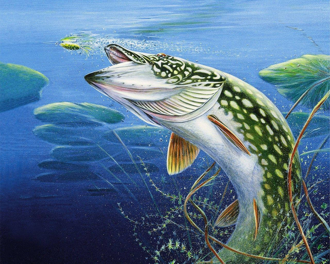 クールな魚のペインティング 壁紙