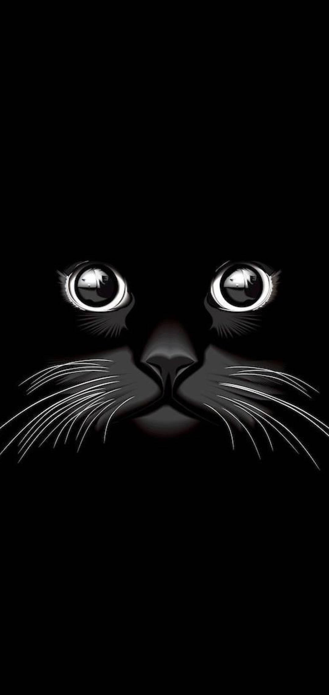 クールな黒猫 壁紙
