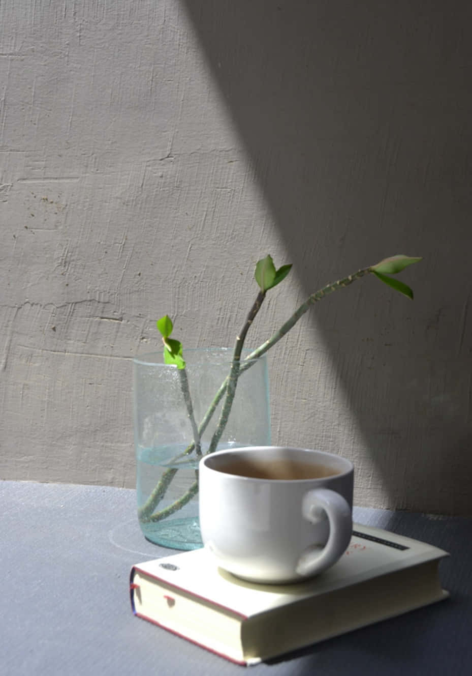 コーヒーと本がテーブルに置かれた風景 壁紙