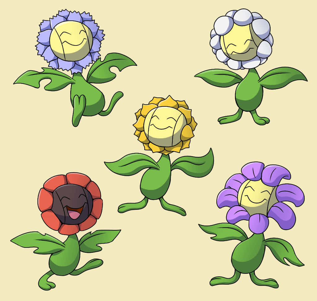 サンフローラと他の花のバリエーション 壁紙