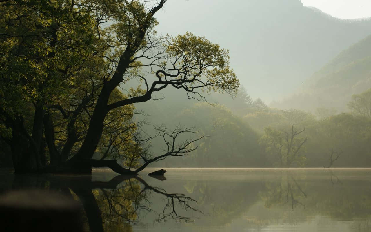 シエラネバダ山脈の壮大な風景 壁紙