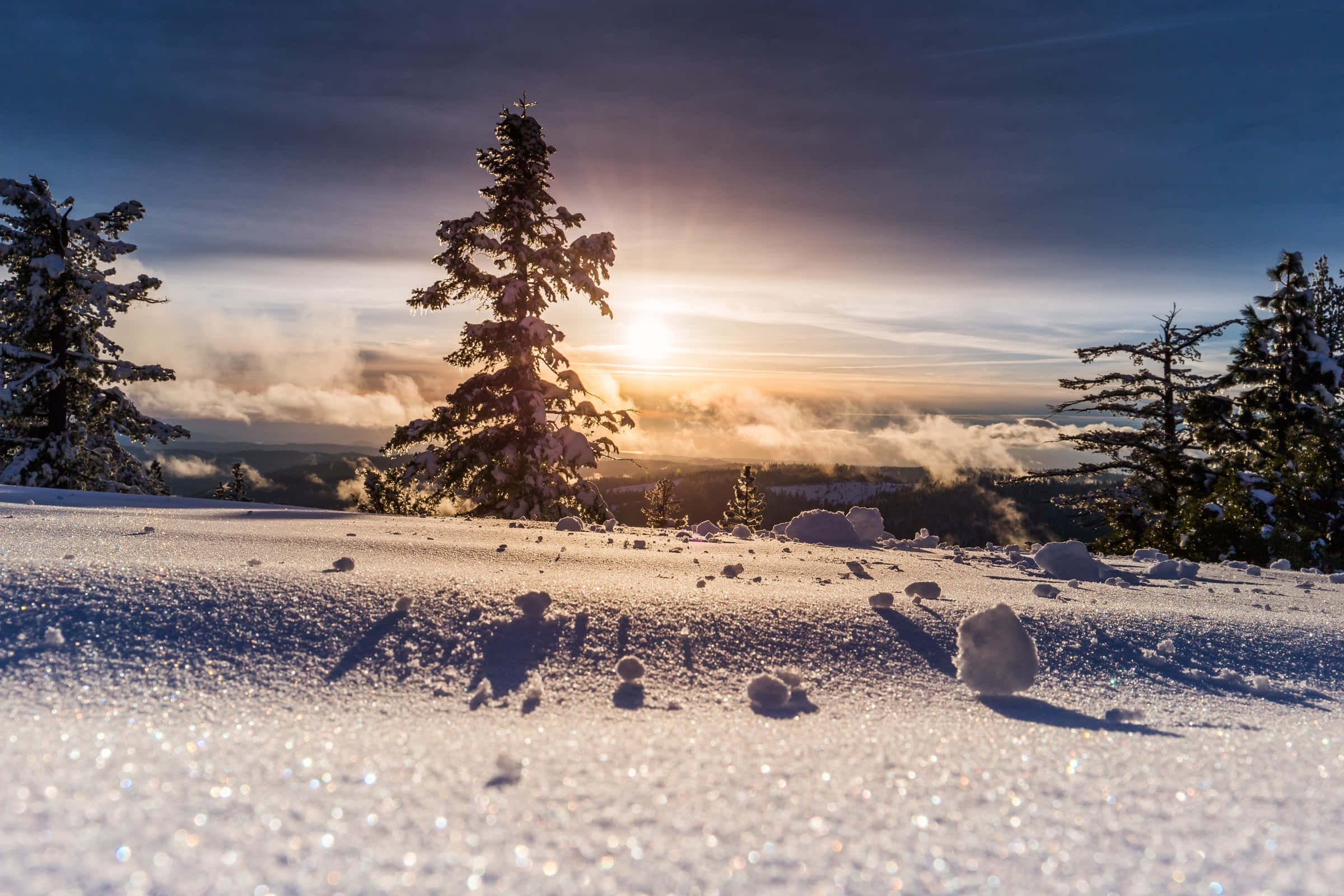 シルエットの木々と雪面の背景 壁紙