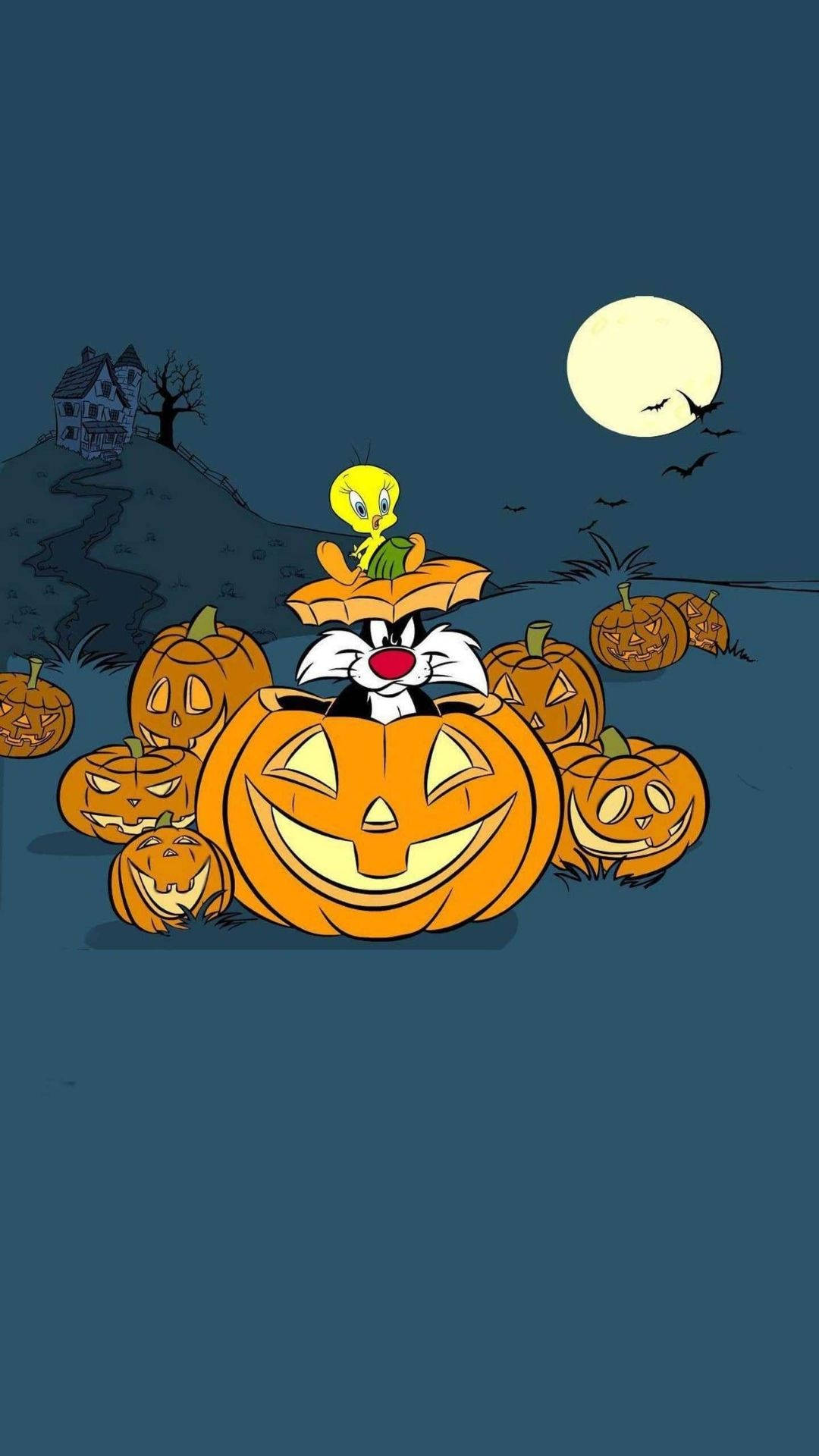 シルベスターとカボチャのハロウィン 壁紙