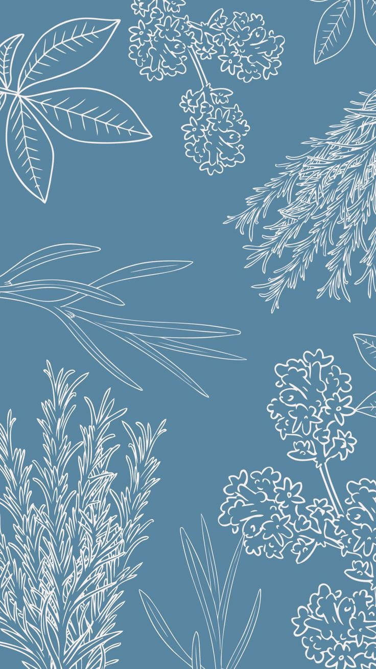シンプルなブルー×植物アート 壁紙