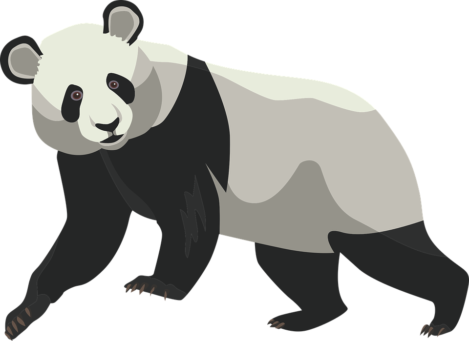 ジャイアントパンダのイラスト 壁紙