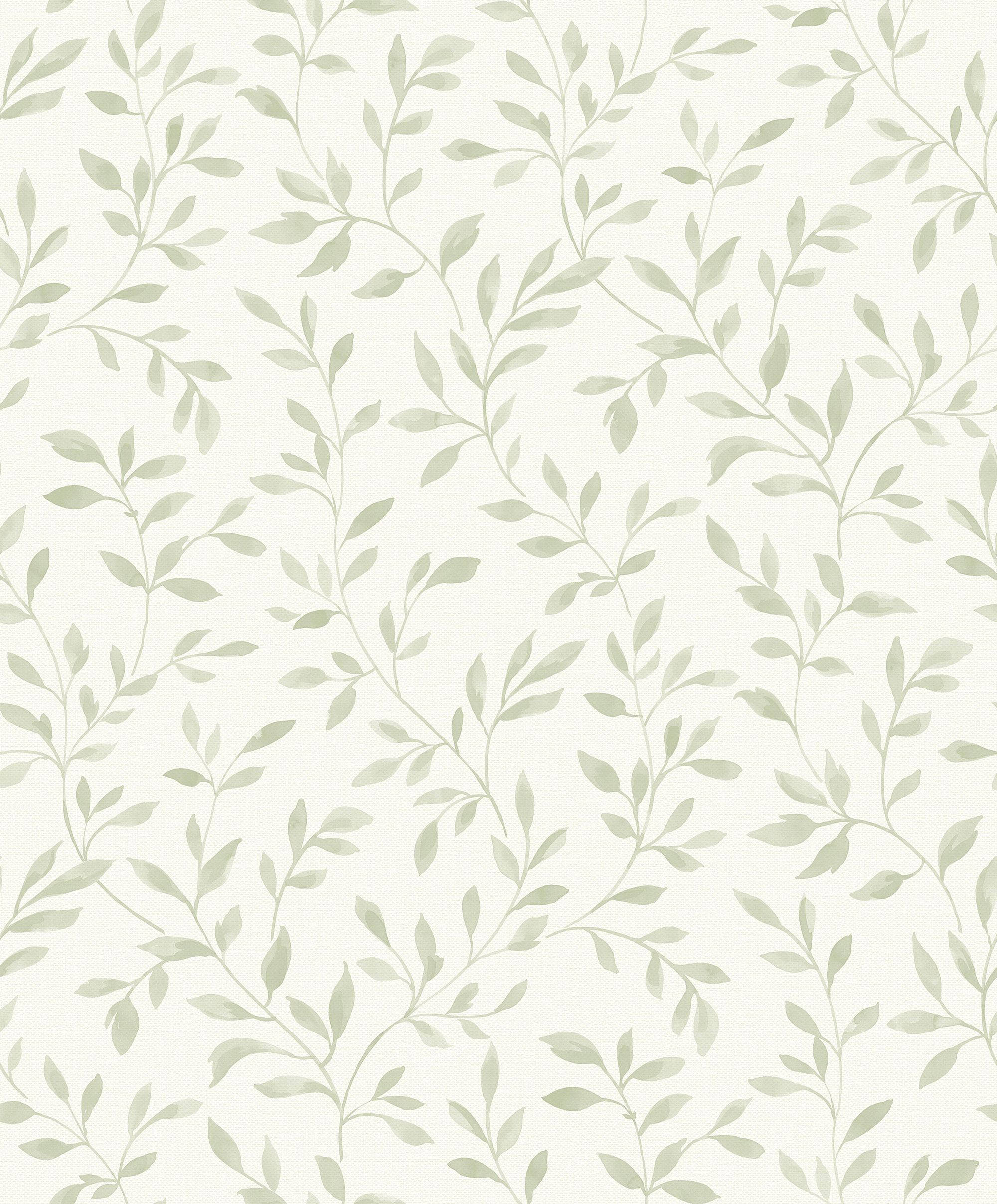 セージグリーンのつる植物エステティック 壁紙