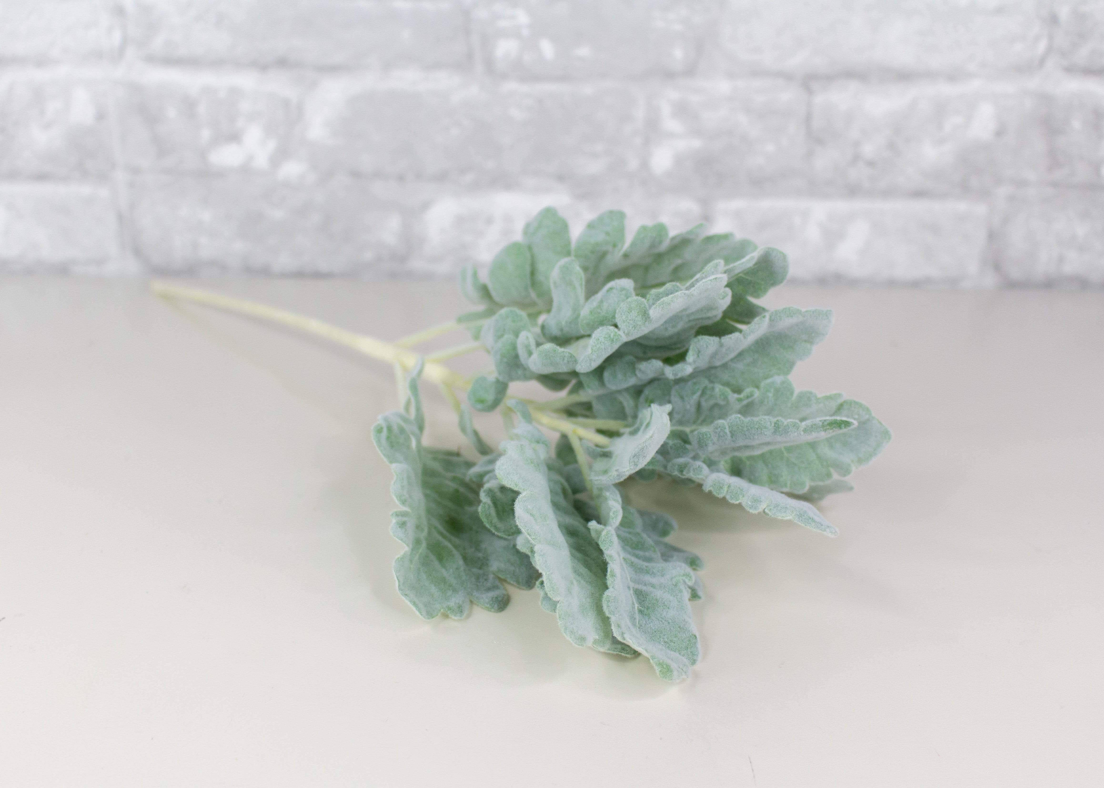 セージグリーンの美しい植物の茎 壁紙