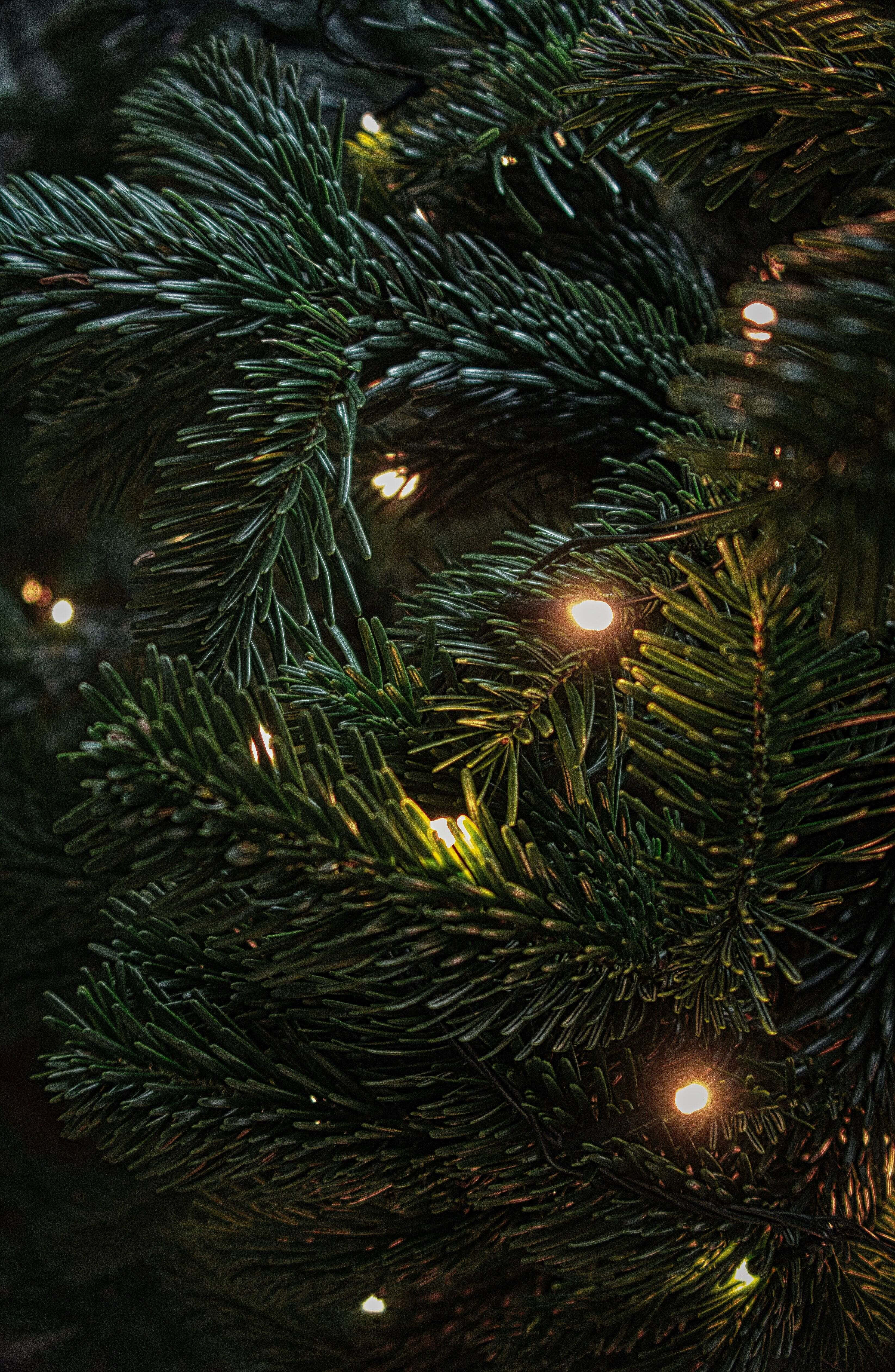 ダークなクリスマスシーン 壁紙