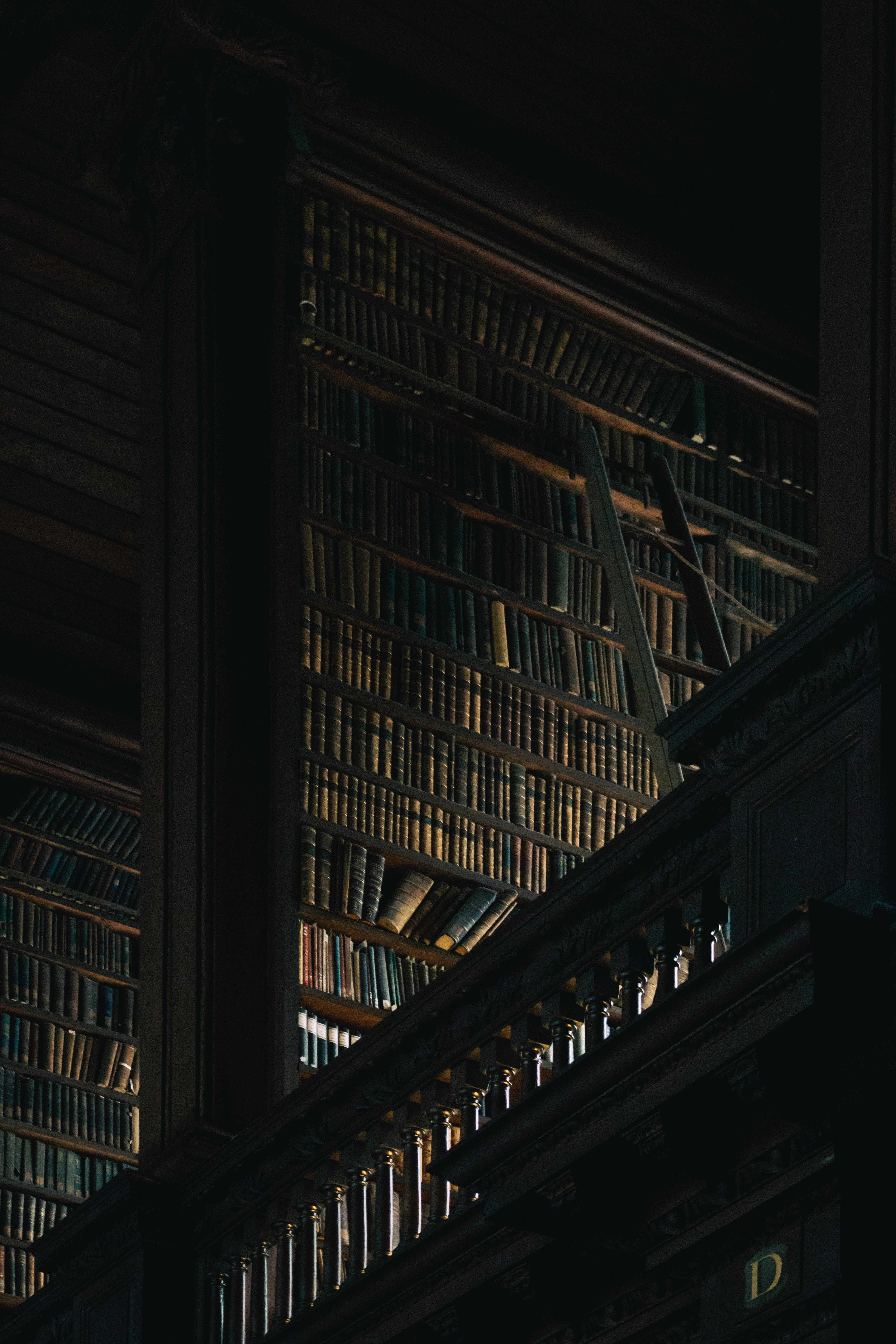 ダークな図書館の美学 壁紙