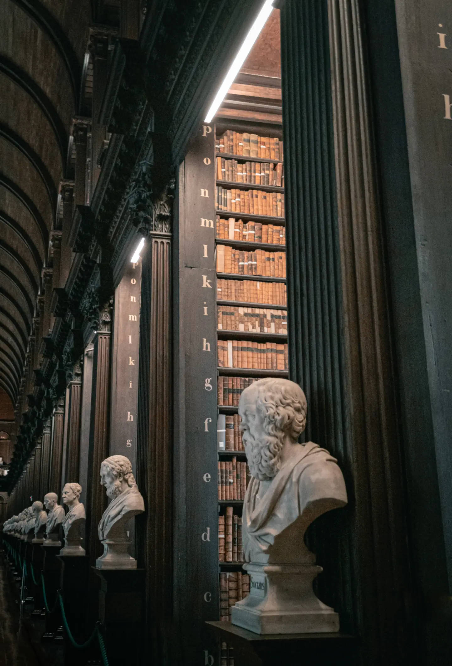 ダークアカデミアの美学が息づく魅惑の図書館 壁紙