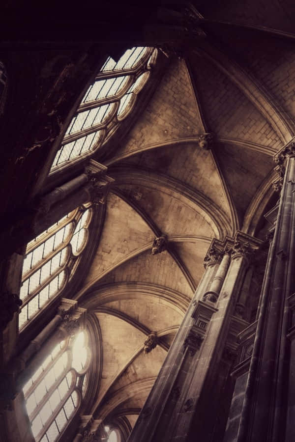 ダークアカデミアの背景