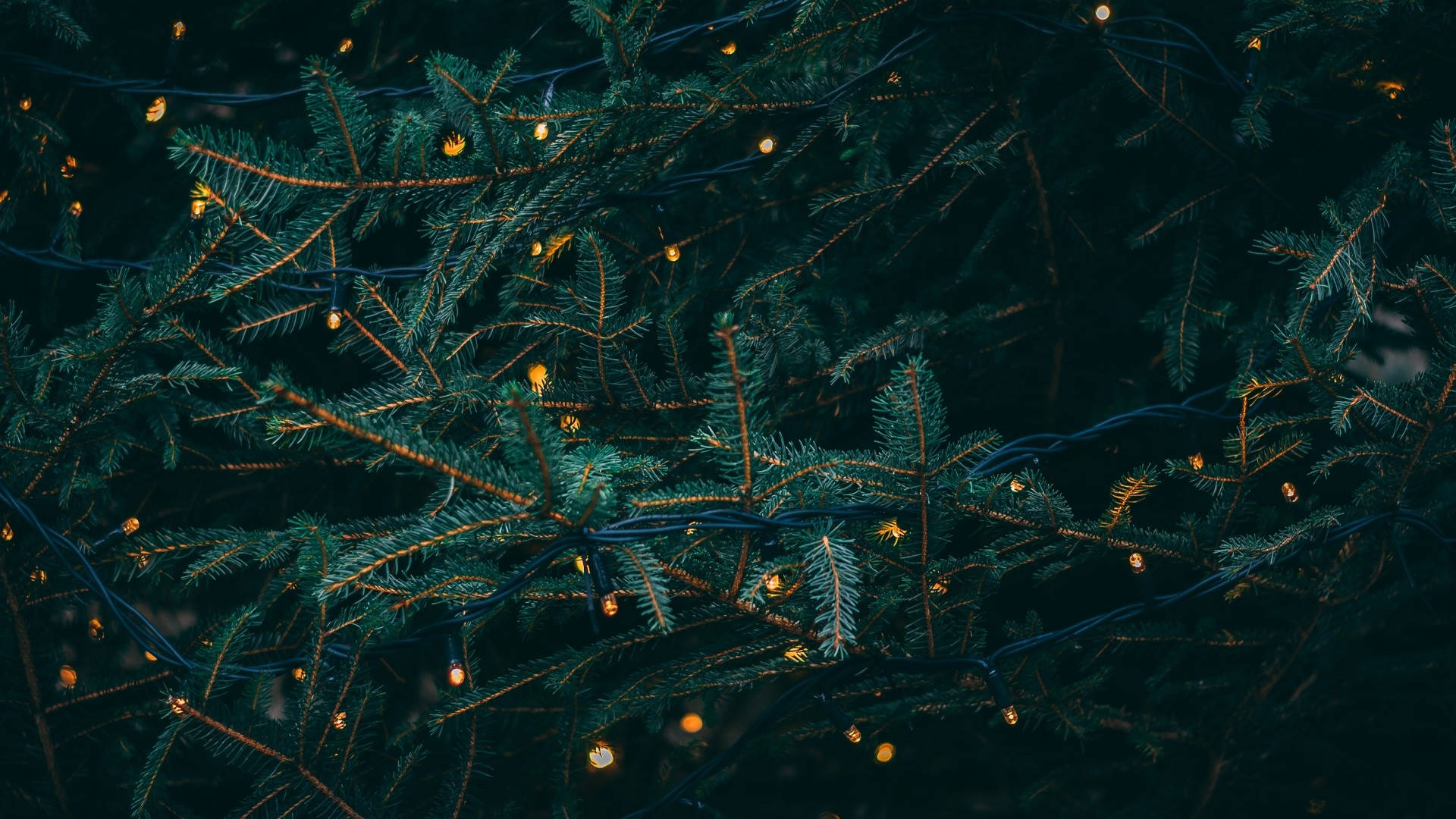 ダークグリーンのクリスマスデスクトップ壁紙 壁紙