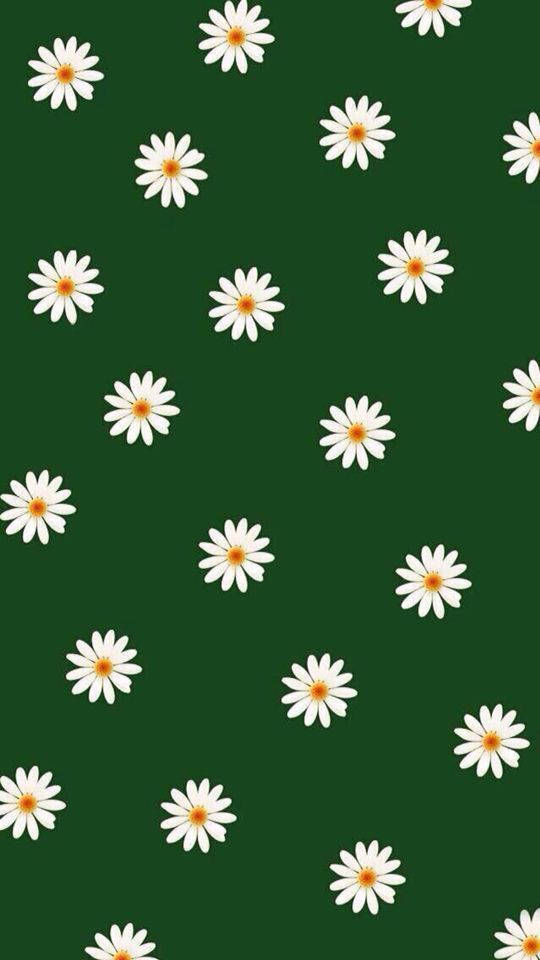 ダークグリーンの白い花 壁紙