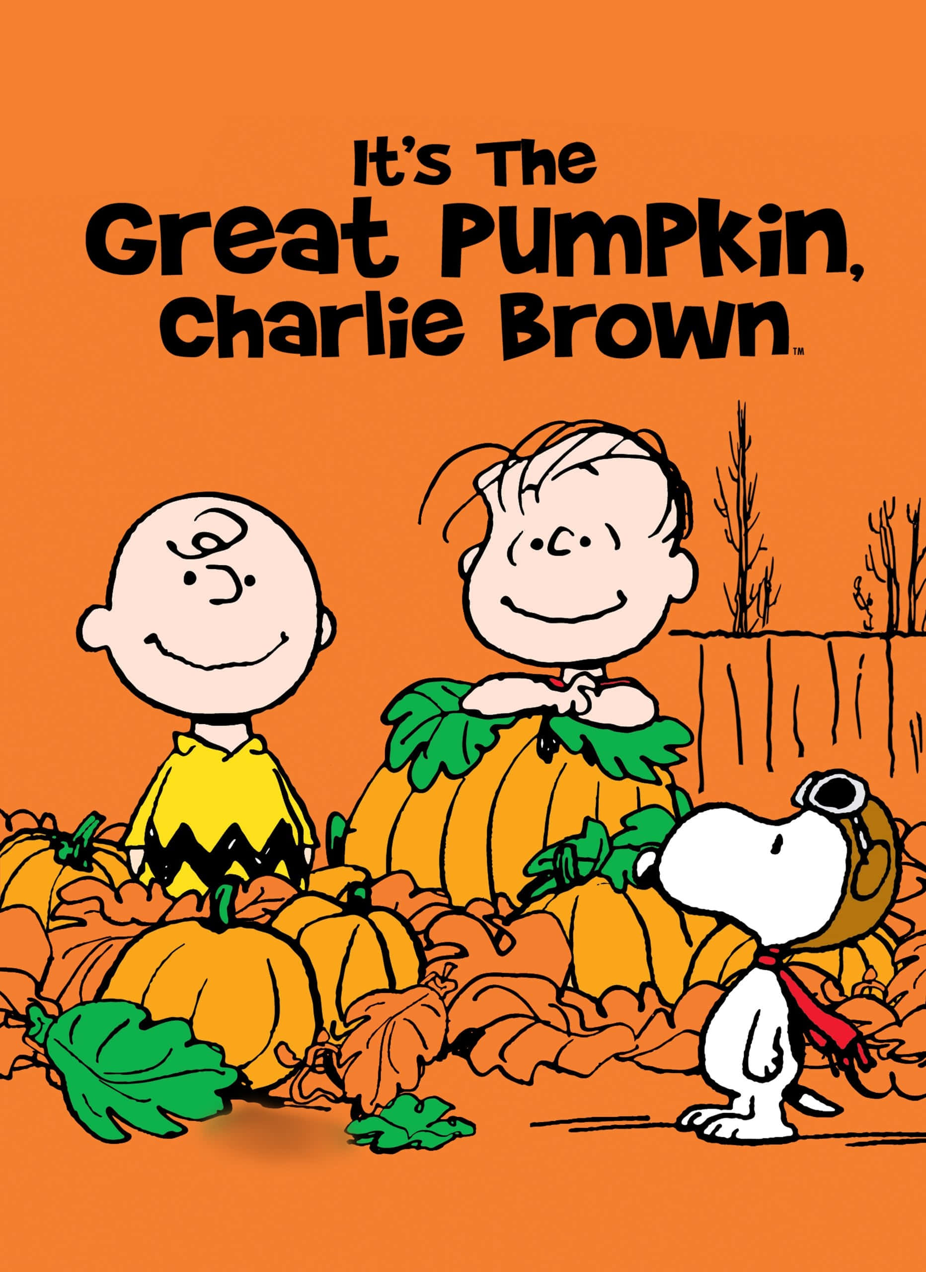 チャーリー・ブラウンのハロウィン画像 壁紙