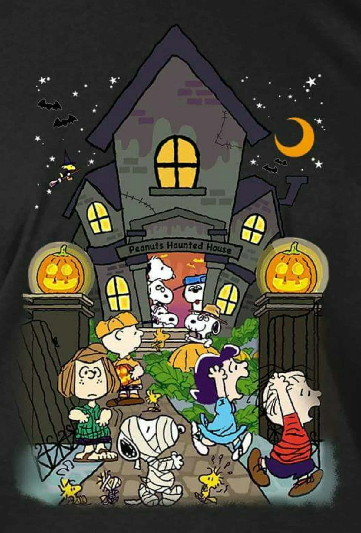 チャーリー・ブラウンのハロウィン画像 壁紙