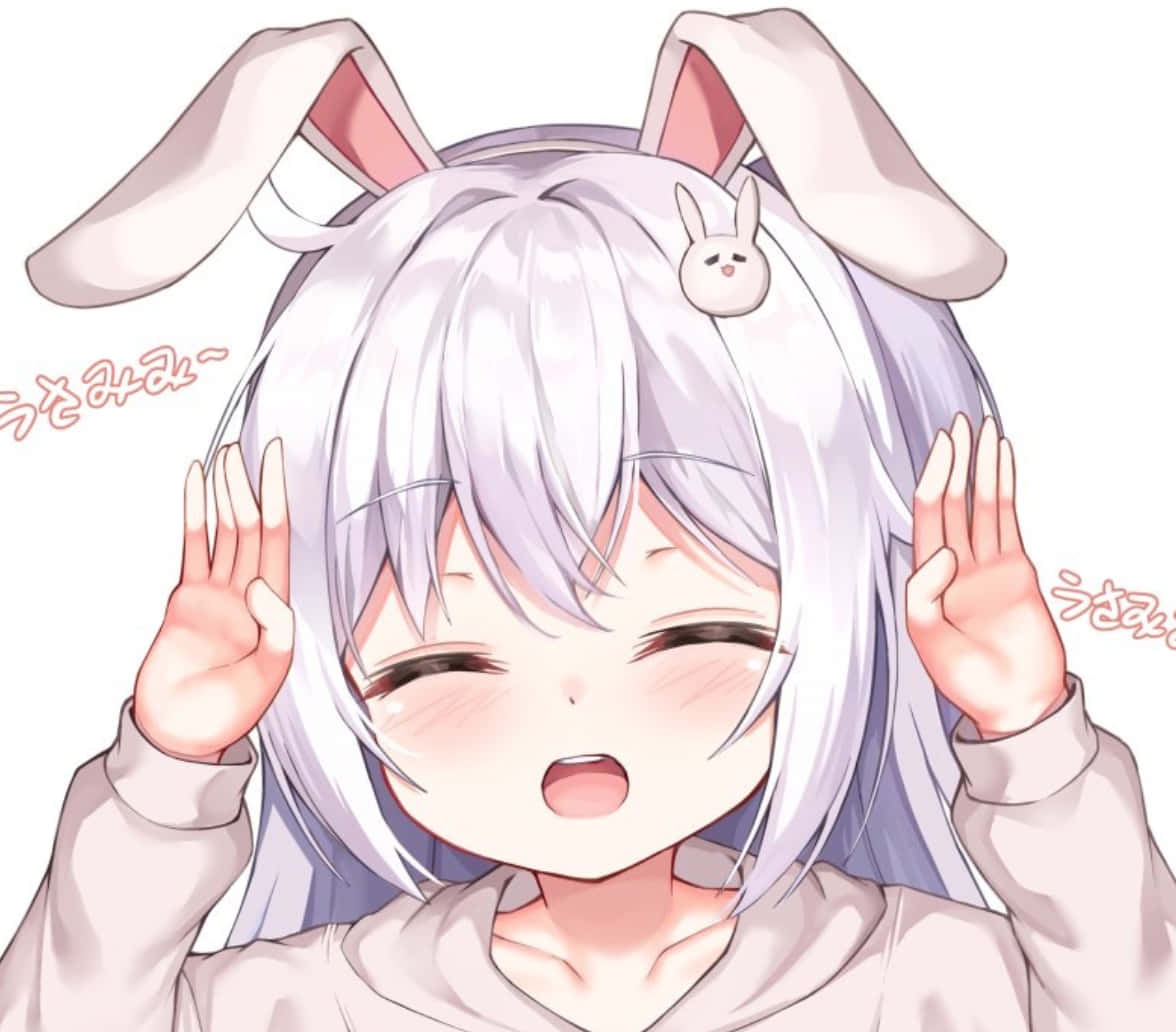 ディスコード アニメ プロフィール画像 ハッピーバニー 壁紙