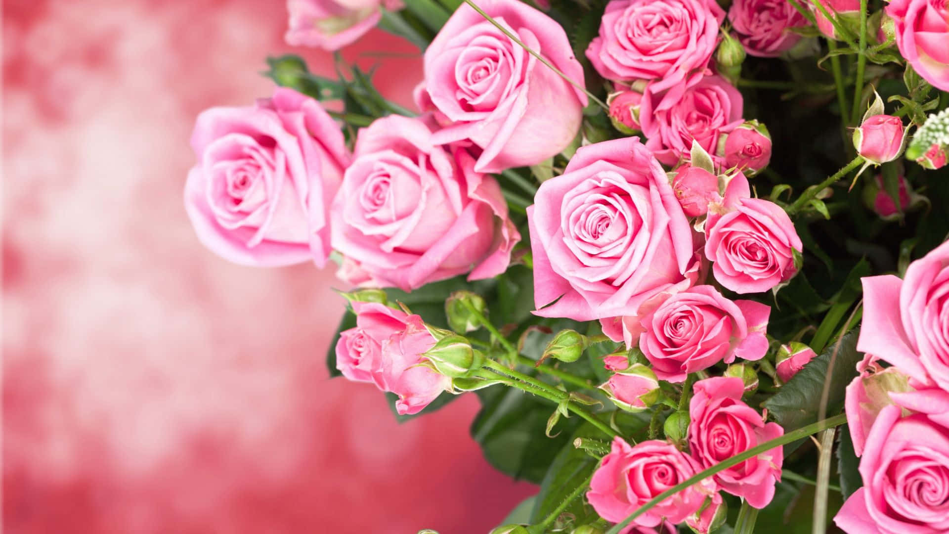 デスクトップ用バラの花束画像 壁紙