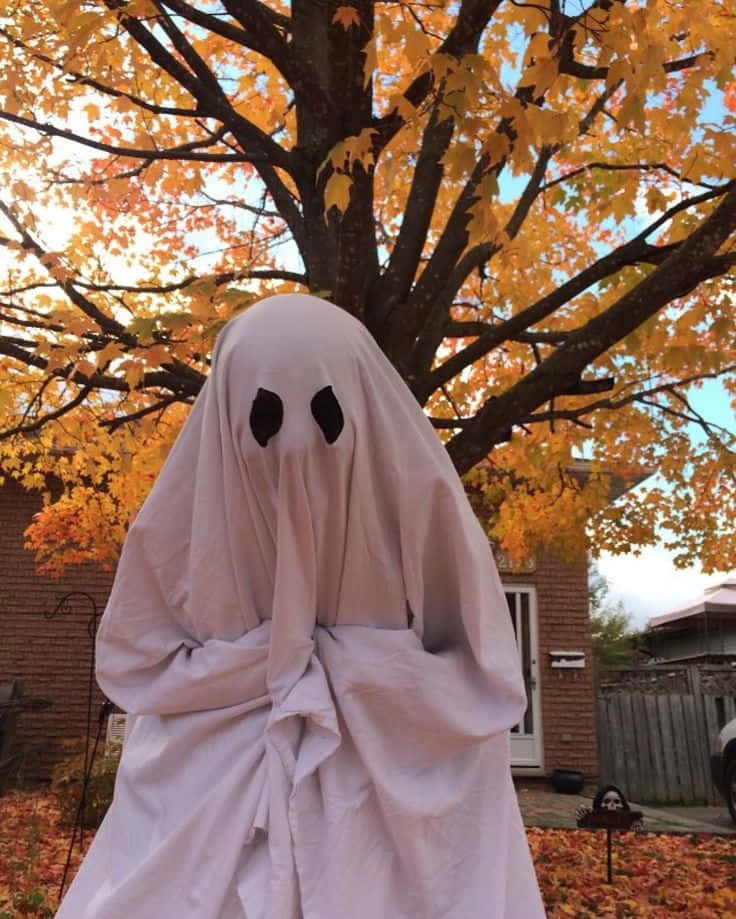 ハロウィンだ、仮装して別人になろう！ 壁紙