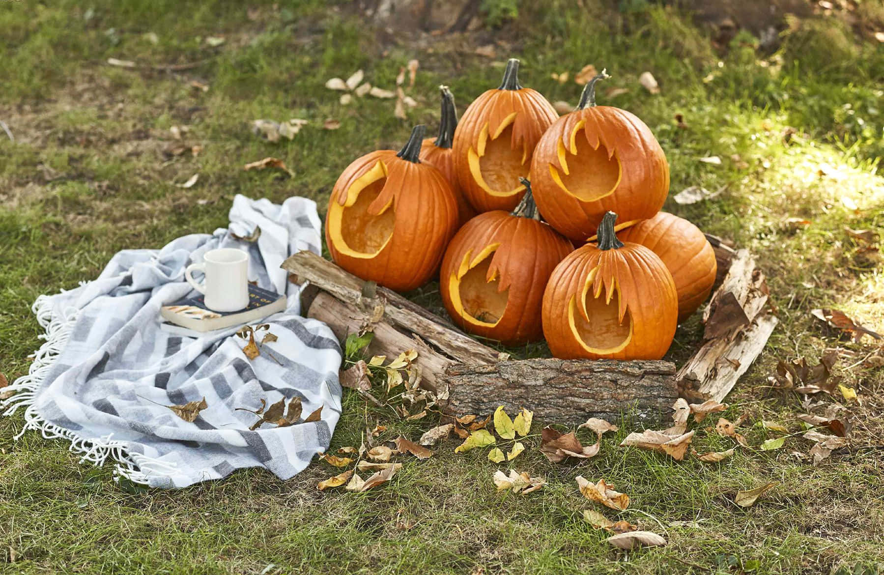 ハロウィンのかぼちゃの炎彫り画像 壁紙