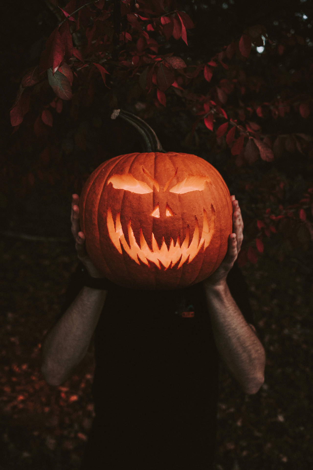 ハロウィンかぼちゃスマホ壁紙