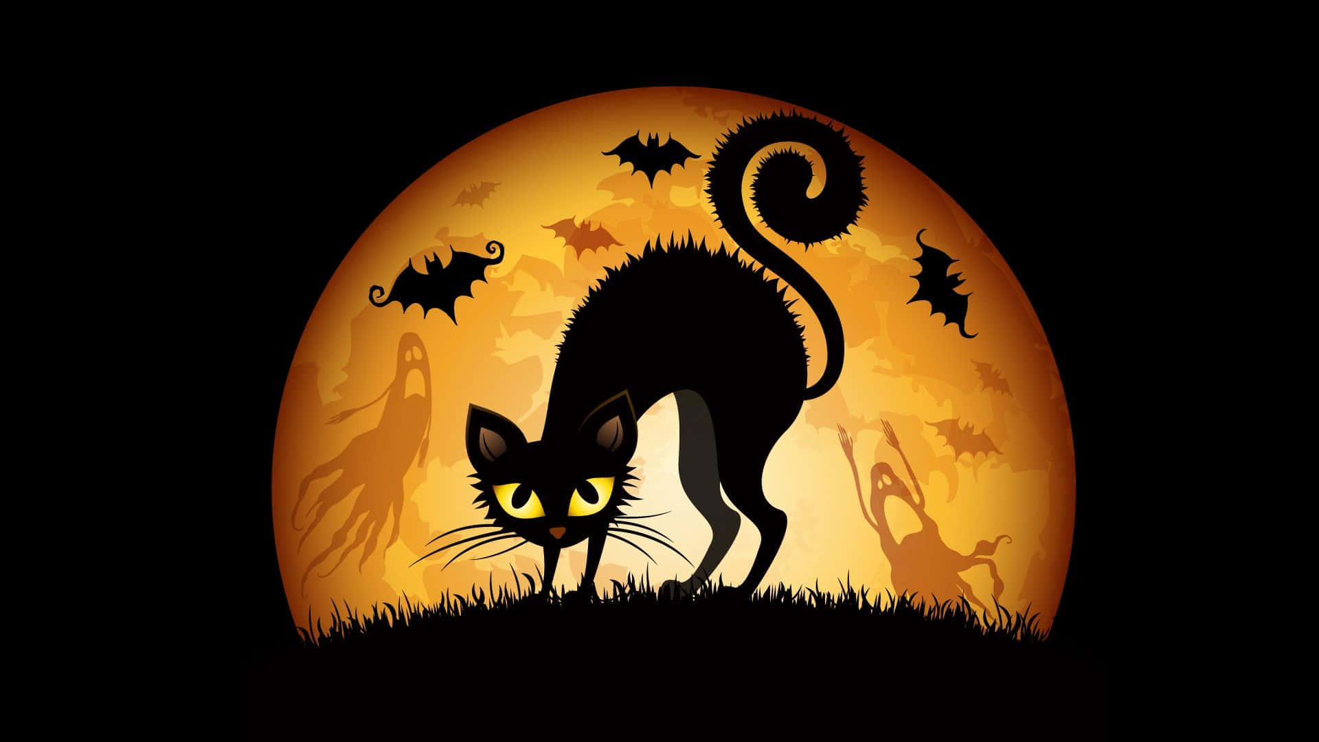 ハロウィン猫の不気味な写真 壁紙