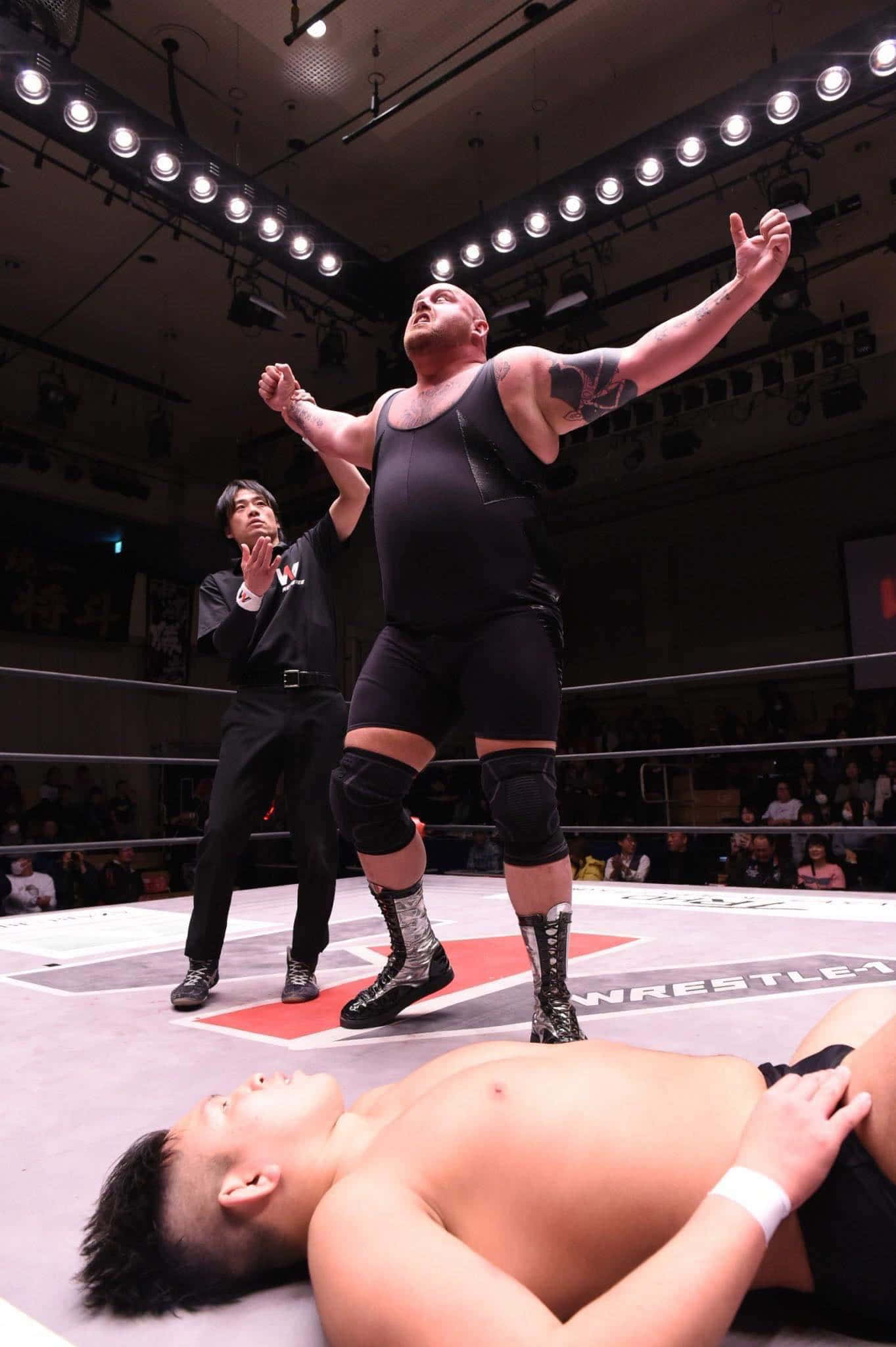 バム・バム・ビガロ WWE勝利の歓喜 壁紙