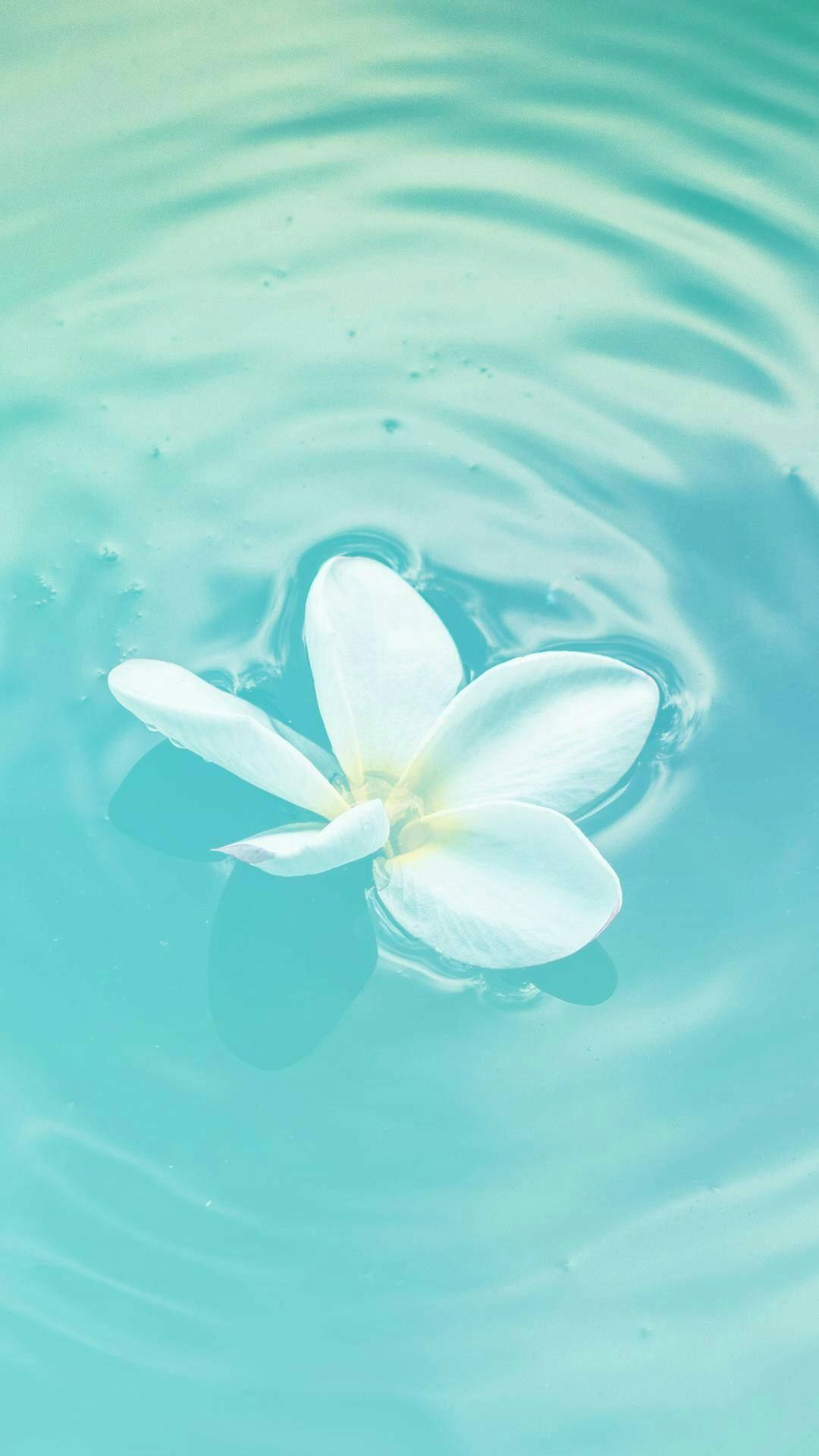パステルティールの浮かぶ花 壁紙