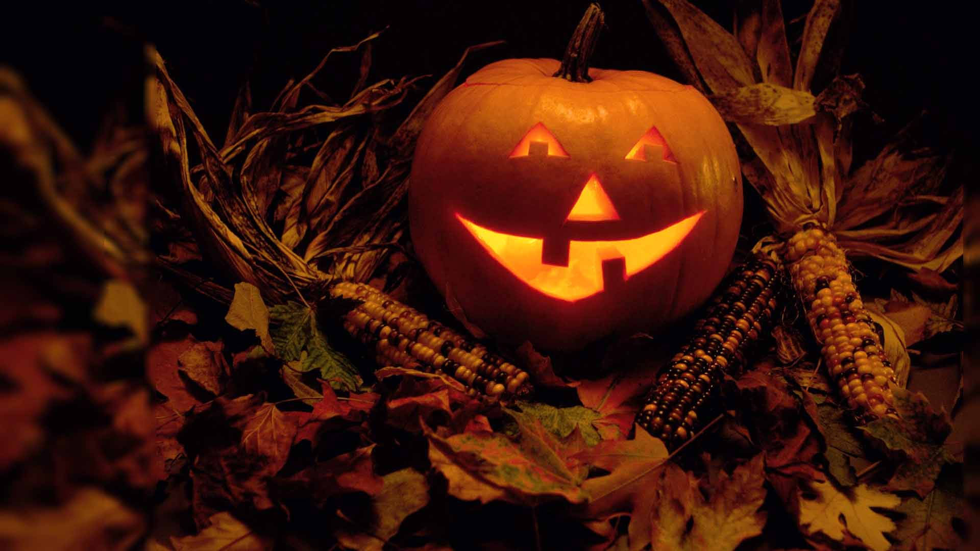 ビンテージハロウィン カボチャ コーンフィールド 壁紙