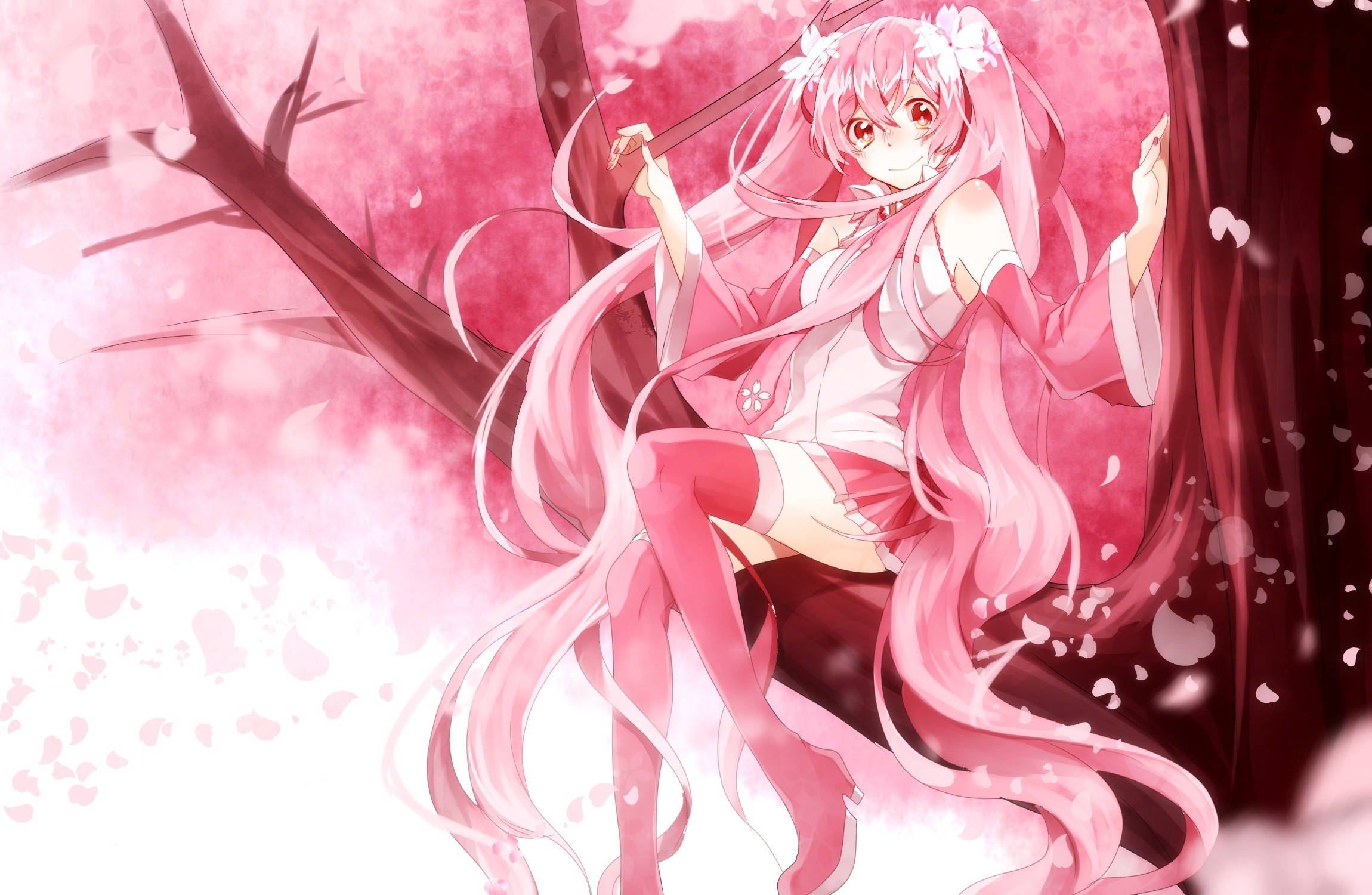 ピンクのアニメ風桜 壁紙