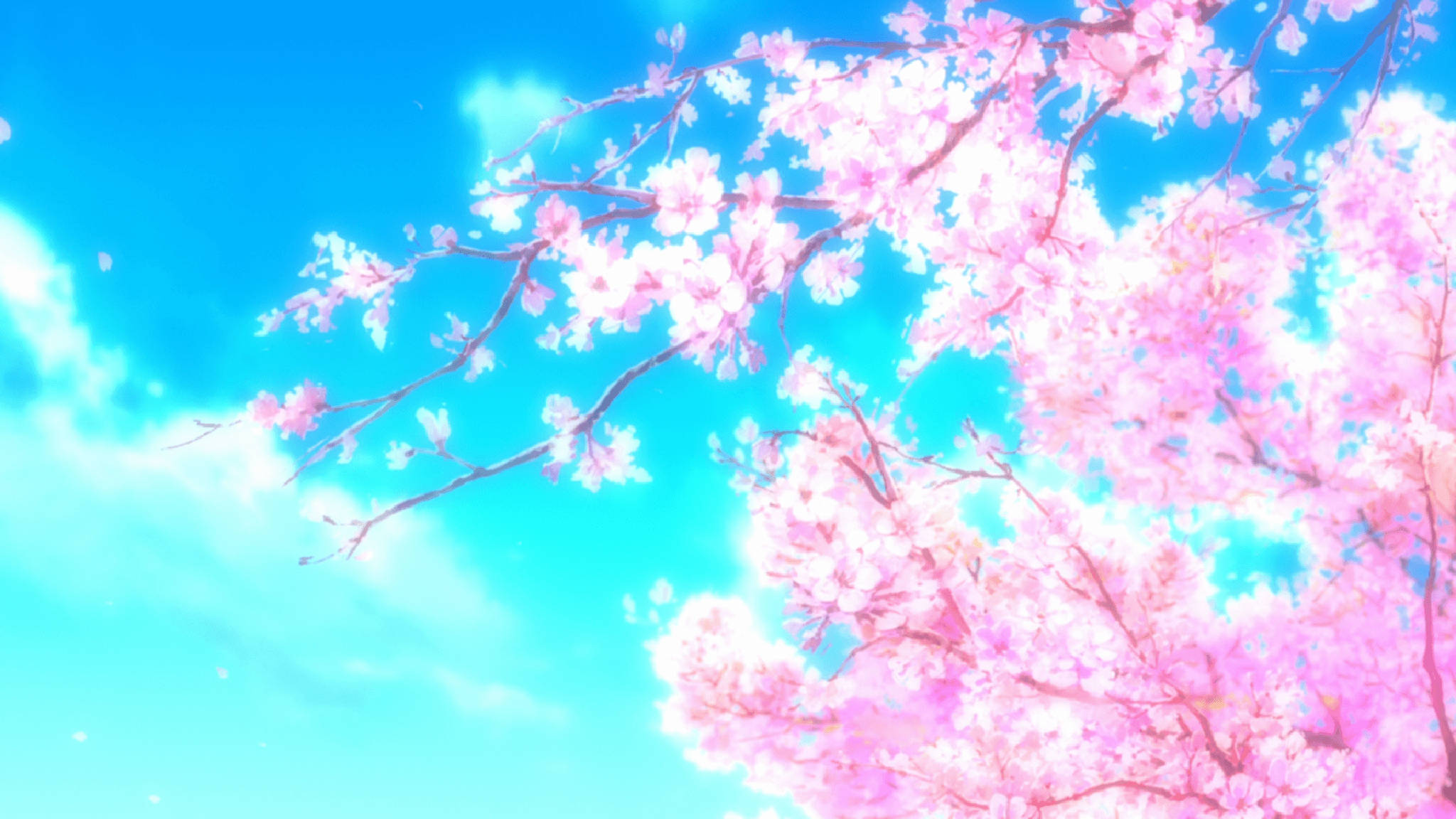 ピンクのアニメ風美しい桜 壁紙