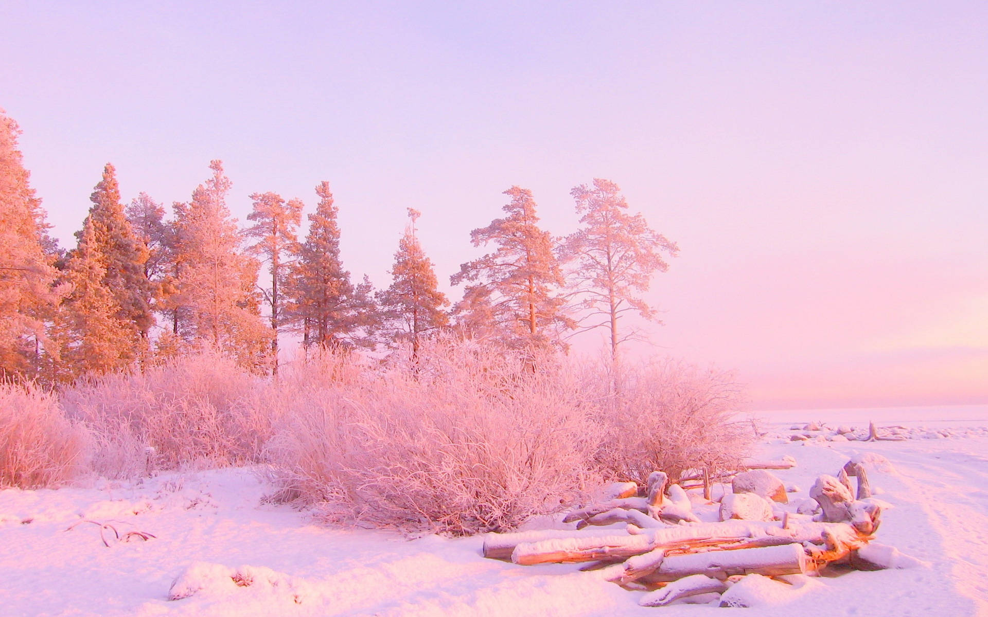 ピンクの森と雪の美しい風景 壁紙