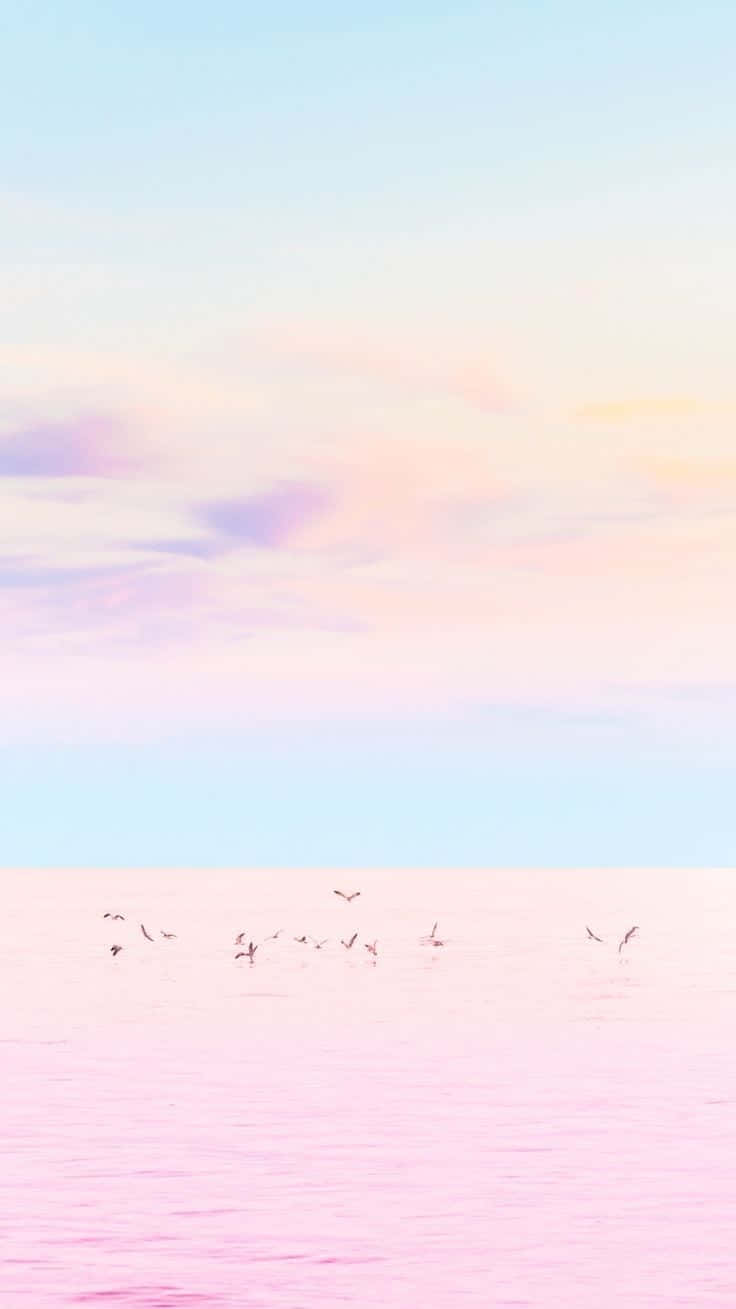 ピンクの海と鳥たちのパステル背景 壁紙