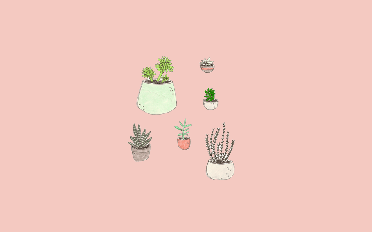 ピンクの背景に鉢植えの植物が並んだ壁紙 壁紙