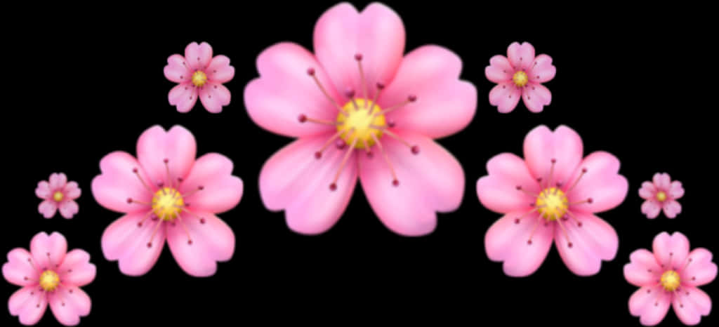 ピンクの花 黒い背景 壁紙