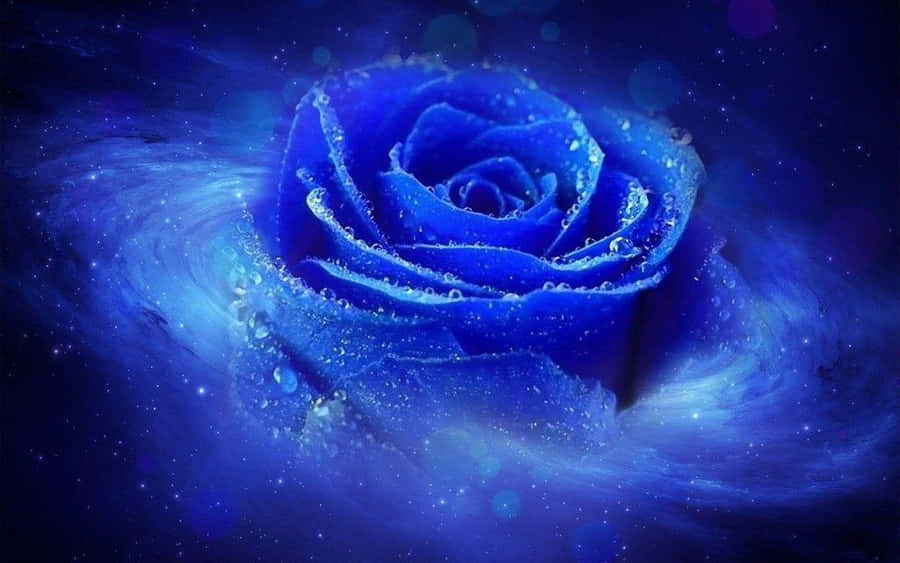 ピンクの花々が彩る美しい夕焼けのクローズアップ 壁紙