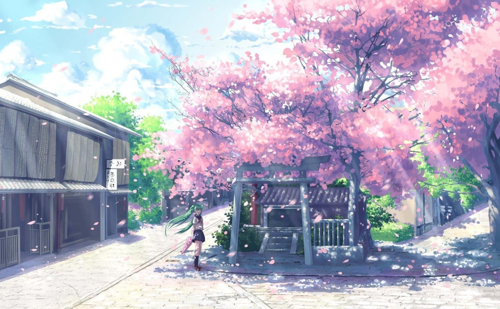 ピンクの花咲く並木道と家 壁紙