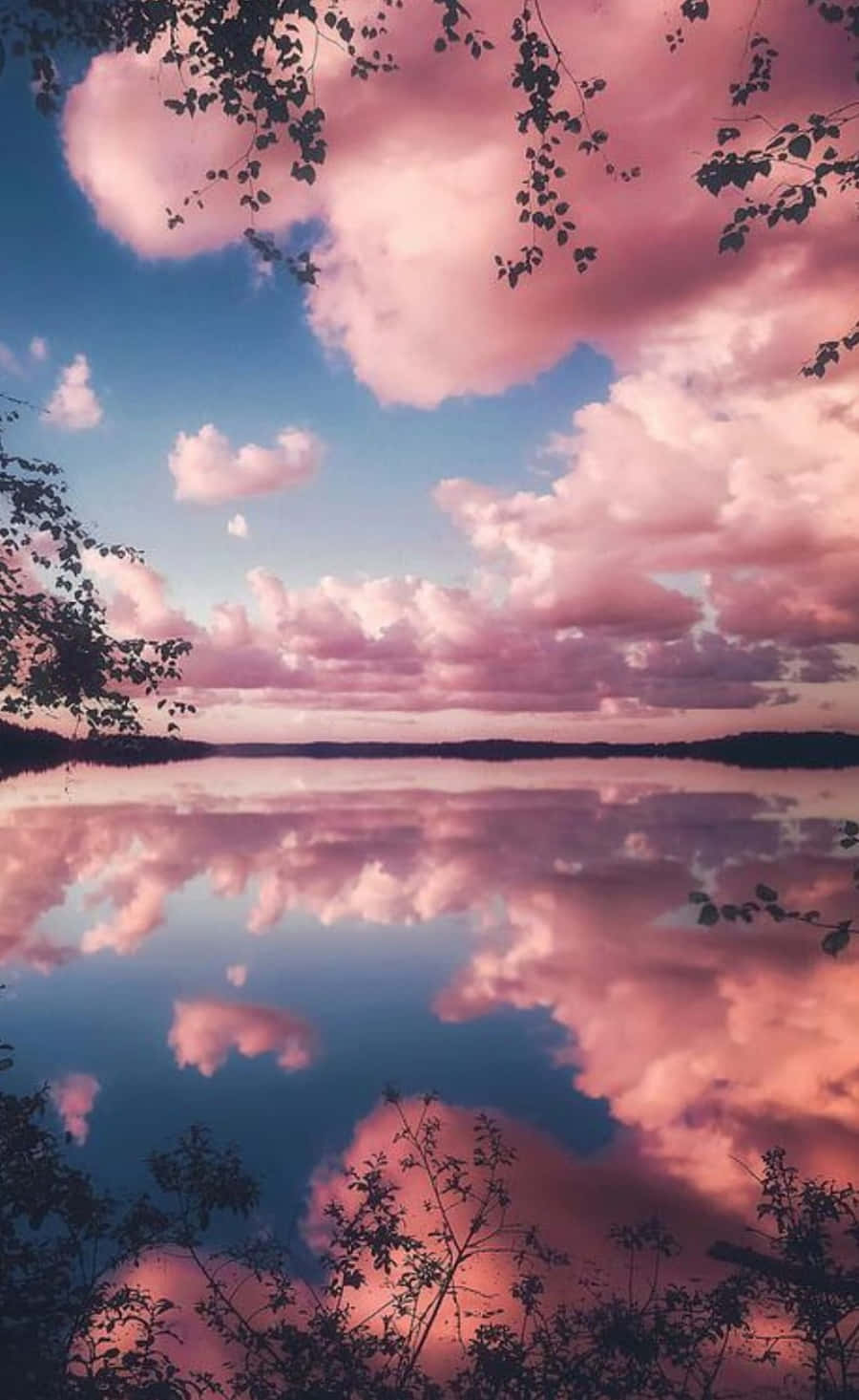 ピンクの雲 空 写真 壁紙