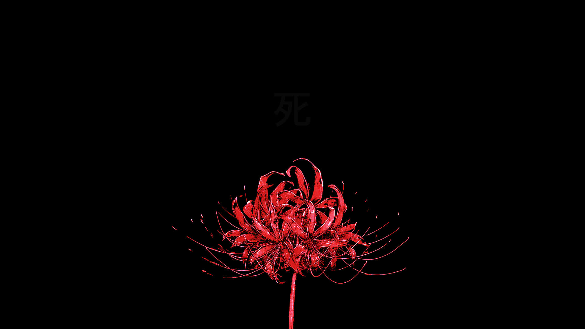フォンフローラ スパイダーリリーの花