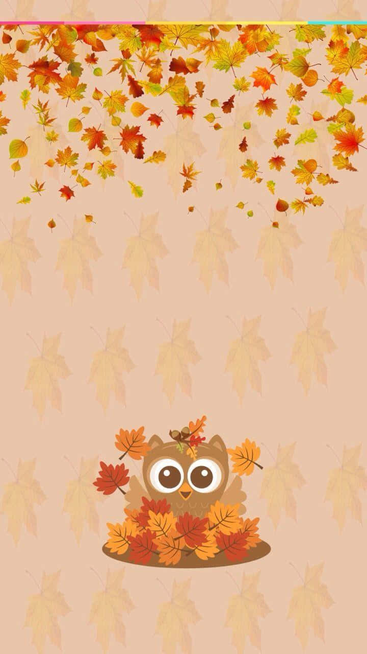 フクロウと紅葉の壁紙 壁紙
