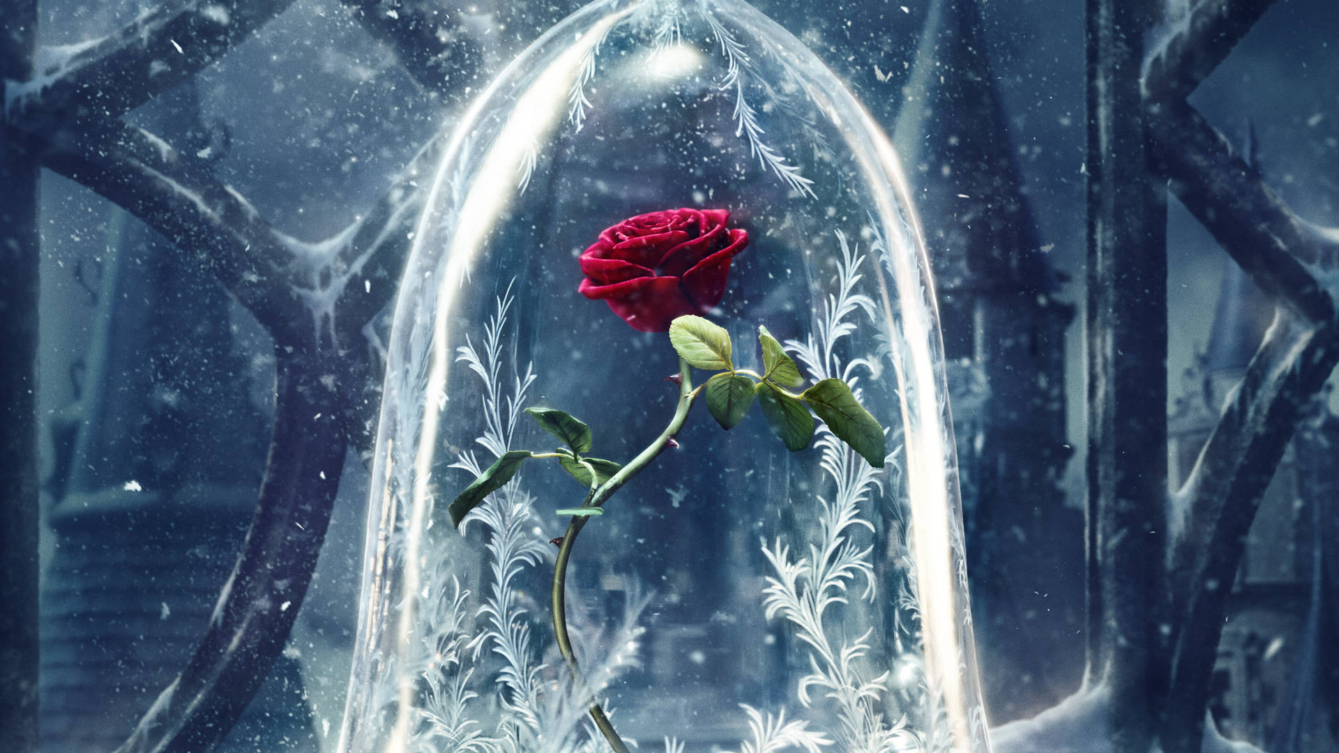 フロストガラスドームの薔薇 エステティック 壁紙