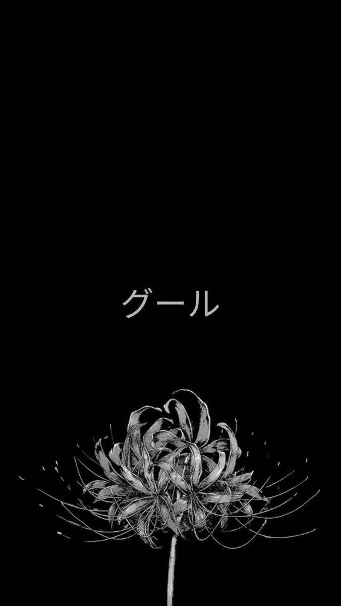 ブラックエステティックアニメ グール カタカナ