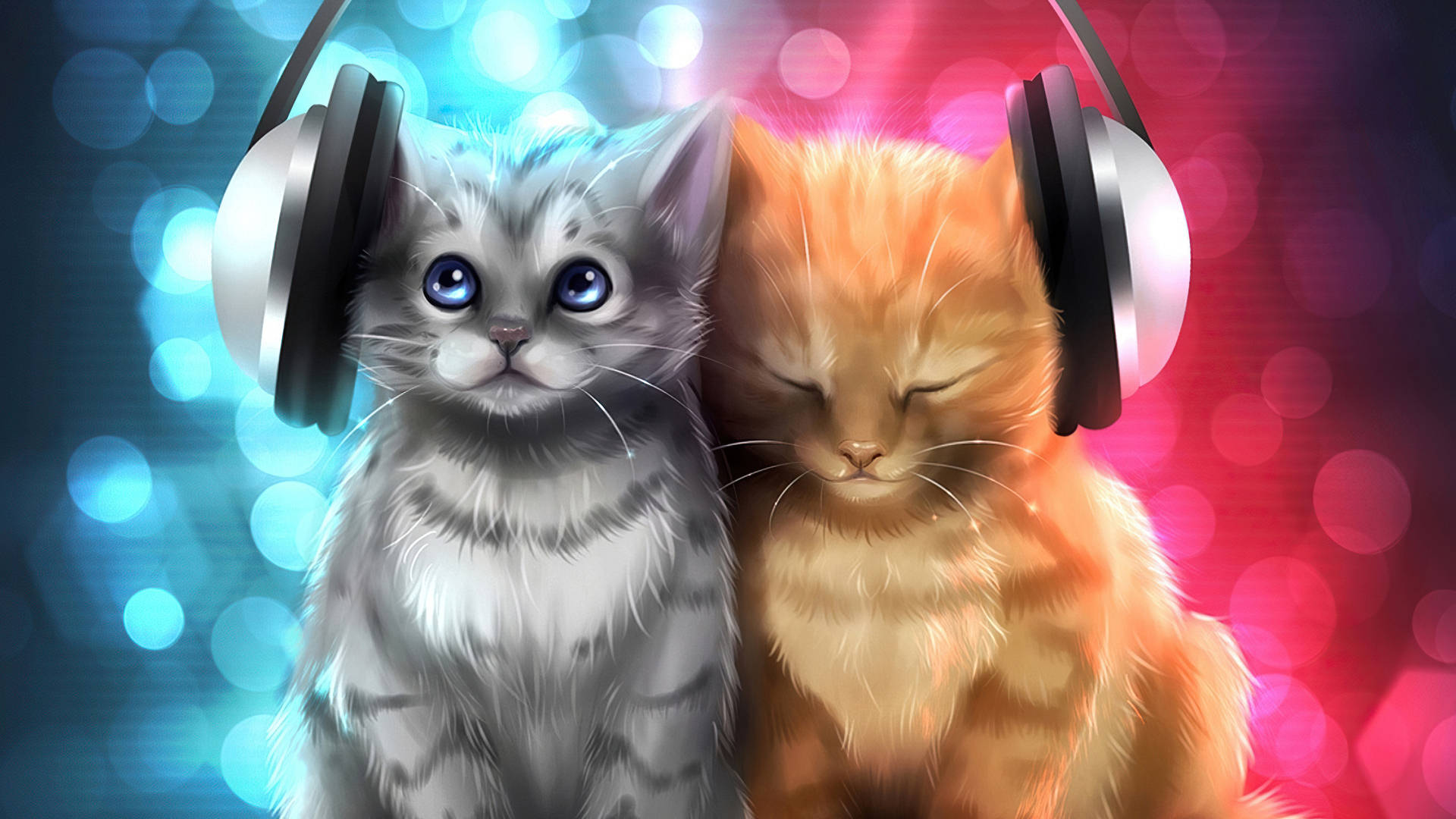 ヘッドフォンをした美しい猫たち 壁紙