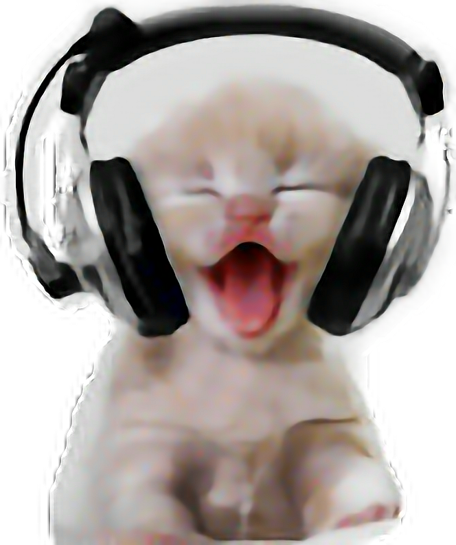 ヘッドホンをつけた笑う猫 壁紙