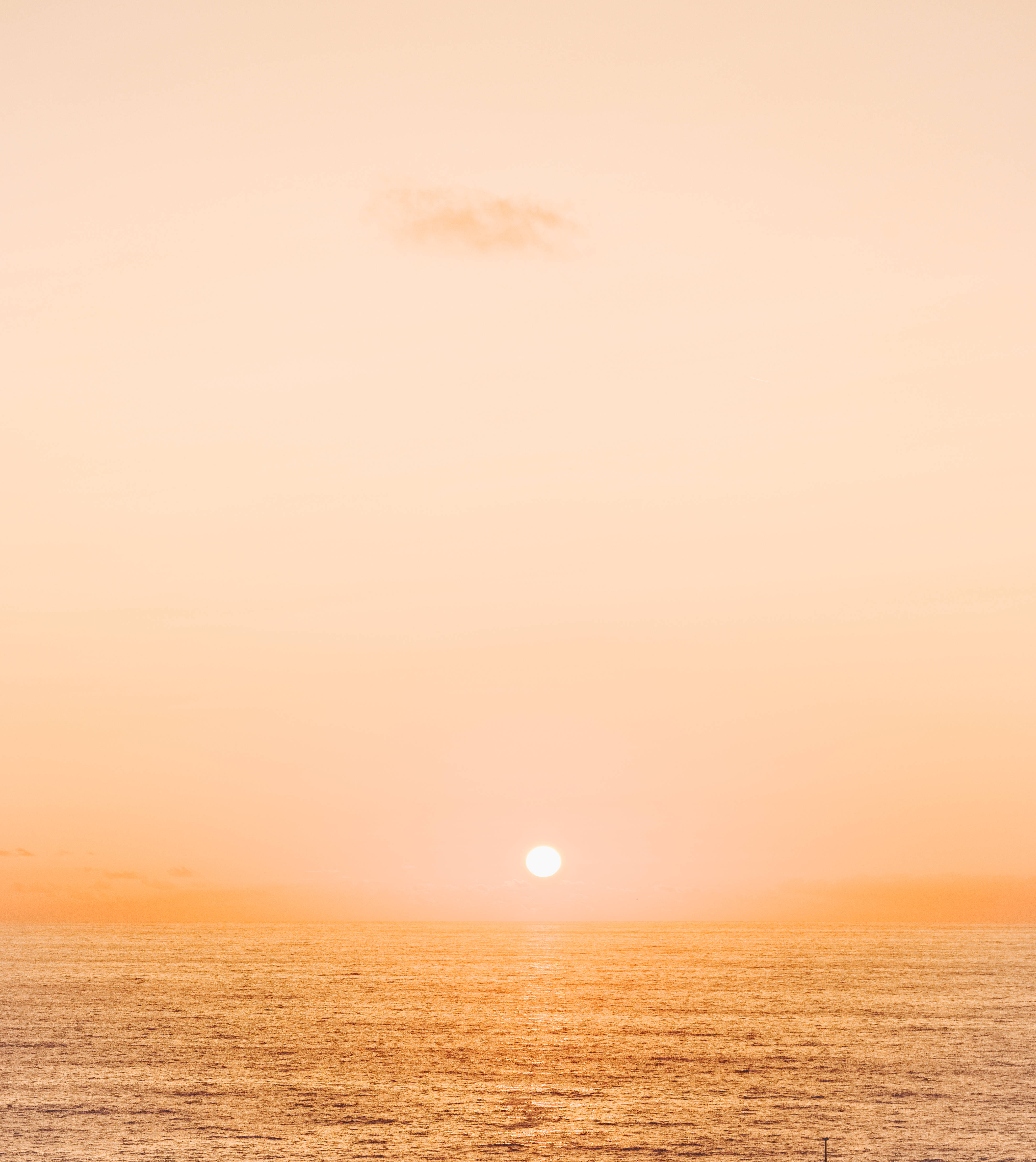 ベージュの美しい夕日 壁紙